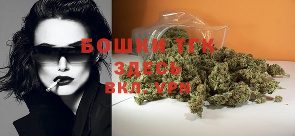 дживик Каменка