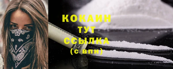 дживик Каменка