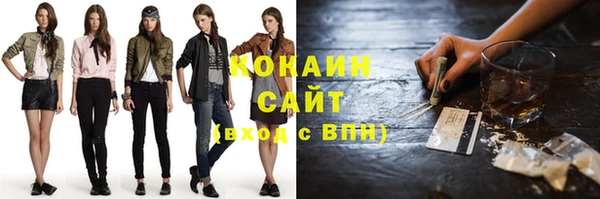 соль ск Каменногорск