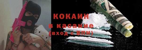 дживик Каменка