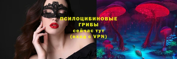 дживик Каменка