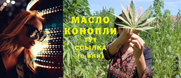 дживик Каменка