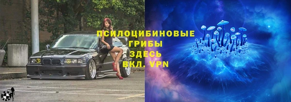 соль ск Каменногорск